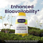 Healthy Origins Berberine Phytosome 550 mg, 120 Veggie Capsules - Bioavailable Berberis Aristata Extract - Supports Metabolic Health, Body Composition, Advanced Phytosome Technology - 4 Month Supply