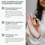 500mg Lycopene Supplement Tomato Extract 10:1 Capsules - 120 Count | 100% Pure, Non-GMO & Gluten Free Formula | Natural Carotenoid Supplement for Health and Wellness Support