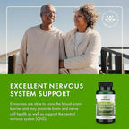 Swanson Lion's Mane Mushroom Brain Health Supplement for Professionals Seeking Mental Focus, Memory, and Clarity Support - 500 mg (60 Vegan Capsules, 4 Bottles, 4 Pack)