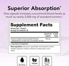 Theralogix CurcuSorb Turmeric Curcumin Supplement - 90-Day Supply - High-Absorption Turmeric Curcumin - Supports Brain, Heart, Immune & Joint Health - Aids Healthy Aging - NSF Certified - 90 Capsules
