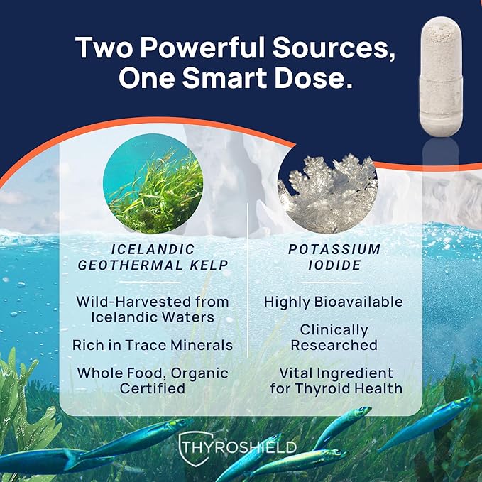 Iodine Supplement – 500 mcg Pure, Raw Form Whole Food Iodine, Potassium Iodide, Icelandic Sea Kelp & Trace Minerals – Daily Thyroid Support for Energy, Metabolism, Vegan – 60 Capsules