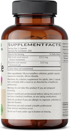 Futurebiotics Milk Thistle Silymarin Marianum & Dandelion Extract Liver Health Support, Antioxidant Support, Detox, 250 Capsules