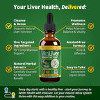 Rejuvica Health VitaLiver | Liver Cleanse & Detox Drops | Milk Thistle, Artichoke, Chanca Piedra & Dandelion Extract | Fatty Liver Support Repair Supplement for Men & Women | 1+ Months Supply