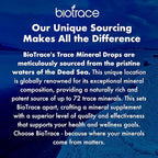 BioTrace Dead Sea Trace Mineral Drops | 72+ Concentrated Trace Minerals, Ionic Liquid Magnesium, Chloride, Potassium | Low Sodium | Energy, Electrolytes, Hydration | 48 Day Supply, 4 fl oz (Pack of 1)