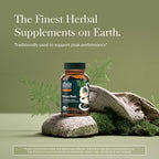 Gaia Herbs Maca Root - Caffeine-Free Energy Supplement - Traditionally Used to Support Healthy Energy & Stamina* - Made with Organic Maca Root (Lepidium meyenii) - 60 Vegan Capsules (60 Servings)