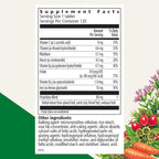 Floradix Iron Tablets - Iron Supplement with B Vitamins, Folic Acid, Vitamin C & More - Energy Support - Vegetarian & Gluten-Free - 120 Tablets (120 Servings)