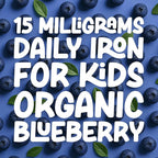 LLORENS PHARMACEUTICAL Kids Iron Supplement – Organic Blueberry Flavor – Iron Drops for Infants & Children – Sugar Free, Vegan, Gluten Free, No Artificial Flavors (1.7 oz, Organic Blueberry)