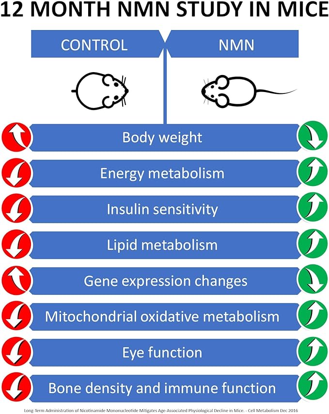 MAAC10 NMN Supplement Real Nicotinamide Mononucleotide (NMN 125mg Capsules). The Most Powerful NAD+ Precursor More Stable Than Riboside. We use 99% Pure Pharmaceutical Grade Stabilized NMN (90 Count)