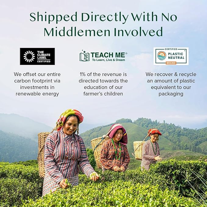 VAHDAM Organic Turmeric Ginger Herbal Tea Bags (100 Pyramid Tea Bags) Caffeine Free, Non GMO | 100% Pure Herbal Blend - Savory & Spicy, Plant-Based Teabags | Resealable Ziplock Pouch