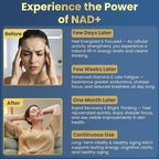 NAD Resveratrol Supplement for Women & Men. Support Cellular Health, Energy + Healthy Aging. High Potency Blend, Plus Third-Party Lab Tested in USA (120 Capsules)