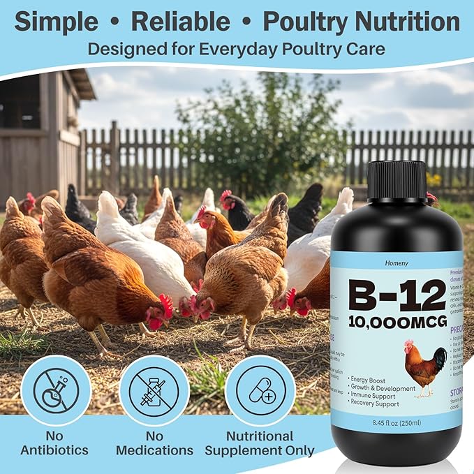 Vitamin B12 Liquid for Poultry, 10000 MCG Nutritional Supplement for Chickens, Supports Daily Vitality & Development, Liquid Vitamin Feed Additive for Hens, Roosters, Ducks, Geese & Turkeys