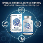 Liposomal NAD+ Supplement 500mg, Nicotinamide Adenine Dinucleotide for Cellular Energy and DNA Health, NMN Alternative for Healthy Aging and Focus, Enhanced Absorption, 120 Capsules, 2 Month Supply