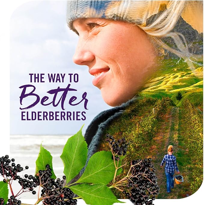Nature's Way Sambucus Elderberry Immune Syrup for Kids Ages 2+,Echinacea & Propolis,with Superfood Antioxidants(1),Immune Support Syrup*,Vegetarian,Berry Flavored,8 Fl Oz,(Pack of 2)