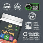 Creatine Monohydrate Powder Micronized PreWorkout Recovery Supplement | Support Muscle Building Strength Training Cognition | Vegan & Keto Friendly Easily Mixes Rainbow Sherbert Flavored Creatine