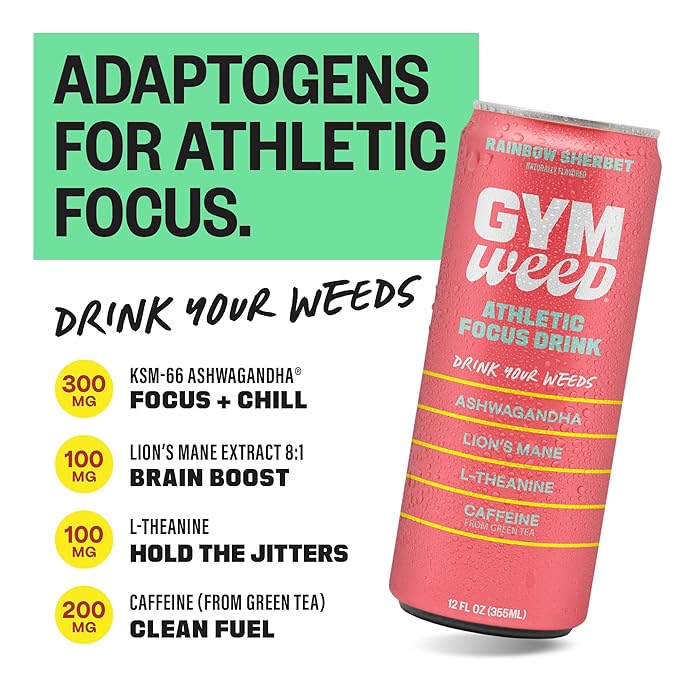 GYM WEED Athletic Focus Drink with KSM-66 Ashwagandha, Lion's Mane Mushroom, L-Theanine, 200mg Green Tea Caffeine with Natural Sweeteners Rainbow Sherbet Flavor, 12 Pack