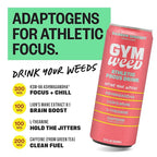 GYM WEED Athletic Focus Drink with KSM-66 Ashwagandha, Lion's Mane Mushroom, L-Theanine, 200mg Green Tea Caffeine with Natural Sweeteners Rainbow Sherbet Flavor, 12 Pack