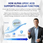 Alpha Lipoic Acid High Potency with Vitamin B1, Vitamin B12, Benfotiamine, Ubiquinol, Black Pepper - Support Cellular Health - 150 Count