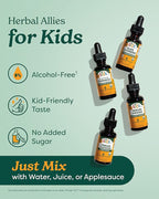 Herb Pharm Kids Fast Asleep™: Sleep Support Herbal Extract, Sugar-Free, Alcohol-Free, Herbal Supplement for Kids, Nap & Nighttime Support, Non-Bitter, Up to ~132 Servings Per Bottle, 1 oz*