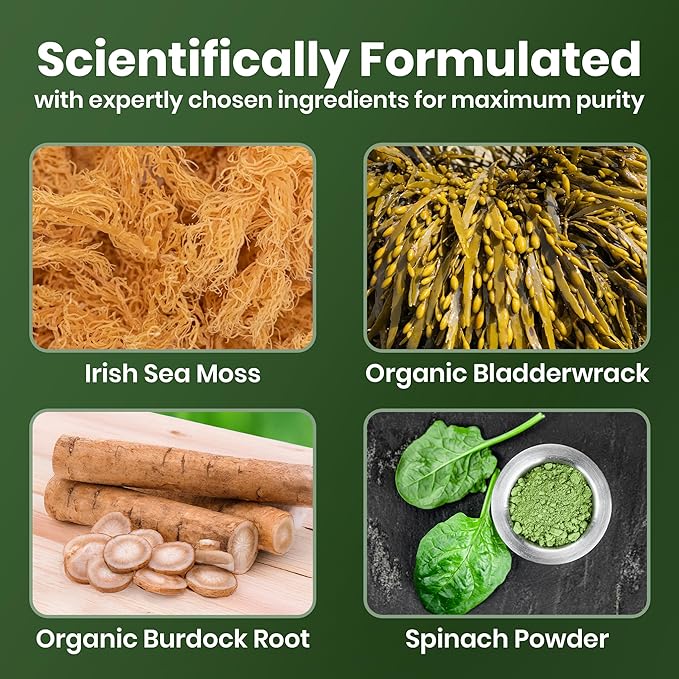 Cured Sea Moss Gummies | Made in America w/Raw Sea Moss, Bladderwrack, & Burdock Root | Potent Seamoss Gummies for Immune, Gut, & Skin Health | 3X Stronger Than Gel | 30 Day Supply
