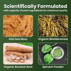 Cured Sea Moss Gummies | Made in America w/Raw Sea Moss, Bladderwrack, & Burdock Root | Potent Seamoss Gummies for Immune, Gut, & Skin Health | 3X Stronger Than Gel | 30 Day Supply