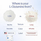Essential Stacks Gut L-Glutamine Powder - Exclusively Made in USA - Pure L Glutamine Powder for Gut Health (100 Servings, Unflavored)