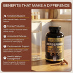 Earth Elixir 4-in-1 Berberine Supplement – Organic Berberine with Ceylon Cinnamon, CoQ10 Ubiquinol, and Resveratrol Powder – Metabolic & Cellular Energy Support, 180 Vegan Capsules