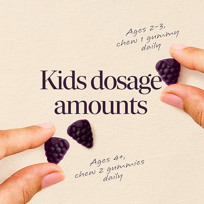 Nature's Way Sambucus Kids Elderberry Immune Gummies with Black Elderberry Extract, Daily Immune Support Gummy with Vitamin C and Zinc for Children Ages 2+*, 60 Gummies (Pack of 12)