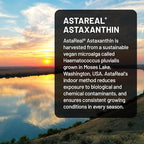 NatureWise Triple Strength Astaxanthin 12mg with AstaReal® - Vegan Antioxidant Supplement with Organic Coconut Oil - NSF Certified Gluten Free, Non-GMO - 60 Softgels[60 Day Supply]