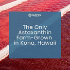 Nutrex Hawaii BioAstin Hawaiian Astaxanthin - 4mg, 60 Softgels - Farm-Direct Premium Antioxidant Supplement to Support Eye, Skin, Joint & Immune System Health - Non-GMO & Gluten-Free