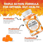 NutraPep Prebiotic Probiotic & Postbiotic Gummies for Women Men & Kids Children - High Potency 5 Billion CFU - Sugar-Free & Gluten 60 Count (Pack of 2)