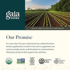 Gaia Herbs Sauerkraut Postbiotic - Gut Health & Immune Support Supplement* - Made with Fermented Sauerkraut - Free from Dairy, Soy & Gluten - 60 Vegan Liquid Phyto-Caps (30 Servings)