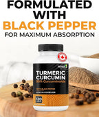 Renew Actives Turmeric Curcumin with Black Pepper – 600MG Turmeric Root, 100MG Curcuminoids per 2 Capsules – Supports Digestion, Liver Health, Joint Relief & Mobility – Made in Canada – 120 Capsules