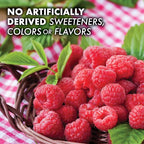 BlueBonnet Nutrition Earth Sweet Vitamin B12 & Folic Acid Chewable Tablets, Cream Raspberry 180 Count (Pack of 1)