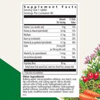 Floradix Iron Tablets - Iron Supplement with B Vitamins, Folic Acid, Vitamin C & More - Energy Support - Vegetarian & Gluten-Free - 80 Tablets (80 Servings)