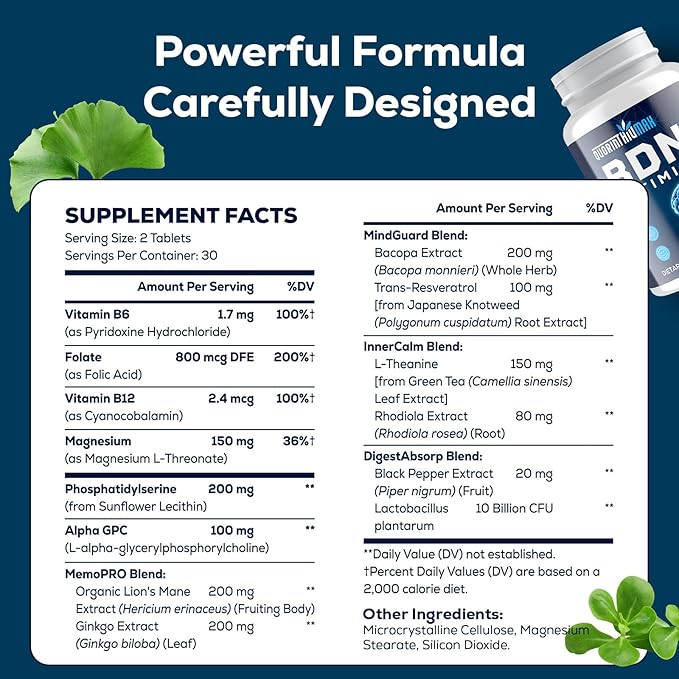 Nootropic Brain Supplement for Memory and Focus – BDNF Optimizer – Cognitive, Mental Clarity & Mood – High Absorption – Organic Lion's Mane, L-Theanine, Ginkgo Biloba & Alpha GPC–60 Tablets (2 Bottle)