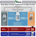 America Medic & Science MFS Plus Fertility Supplements for Men (60 Capsules) Sperm Count Booster, Supports Motility | Natural Preconception Vitamins, Reproductive Aid, with Zinc, CoQ10