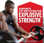 Force Factor Creatine Monohydrate Powder, 5g Micronized Dose to Support Muscle Growth, Strength, Recovery, Cognitive Health & Memory, Unflavored, 60 Servings