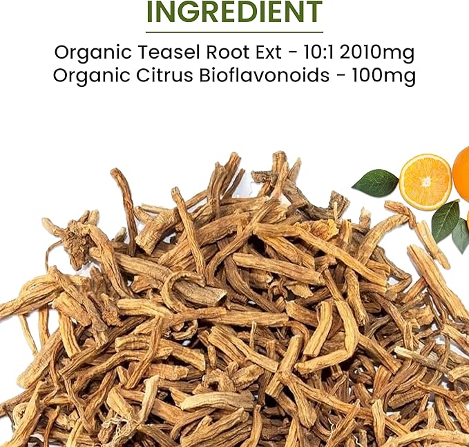 Green Organic Supplements' Lyme Disease, Teasel Root (Pack of 5)