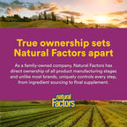 Natural Factors BioCoenzymated Pantethine - B Vitamin Support for Energy Support & Cardiovascular Health - Active Coenzyme Form - Non-GMO, Gluten-Free & Dairy-Free - 60 Softgels
