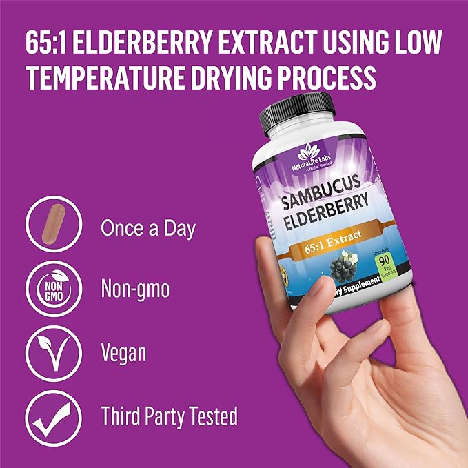 NaturaLife Labs Sambucus Elderberry Capsules – with Vitamin C & Zinc – Immune Support Supplement – 90 Vegan Capsules – Non-GMO & Gluten-Free