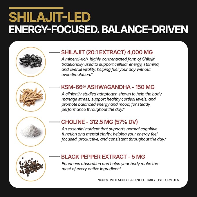 13-in-1 Shilajit Gummies with KSM-66® Ashwagandha | 4000 mg Himalayan Shilajit Extract (20:1), Choline & Botanicals | Sugar-Free, Vegan | Energy, Focus & Daily Vitality Support for Men & Women