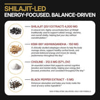 13-in-1 Shilajit Gummies with KSM-66® Ashwagandha | 4000 mg Himalayan Shilajit Extract (20:1), Choline & Botanicals | Sugar-Free, Vegan | Energy, Focus & Daily Vitality Support for Men & Women