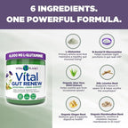 Vital Planet - Vital Gut Renew Powder Supplement for Leaky Gut Repair with L-Glutamine, Marshmallow and Ginger Root, DGL Licorice Root and Organic Aloe Vera, L Glutamine 6000mg 6.88 oz