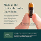 Gaia Herbs Turmeric Supreme Joint Health - Joint Support Supplement with Cucumber, Quercetin, Black Pepper, Ginger Root, Curcuminoids & More* - 60 Liquid Phyto-Caps (30 Servings)