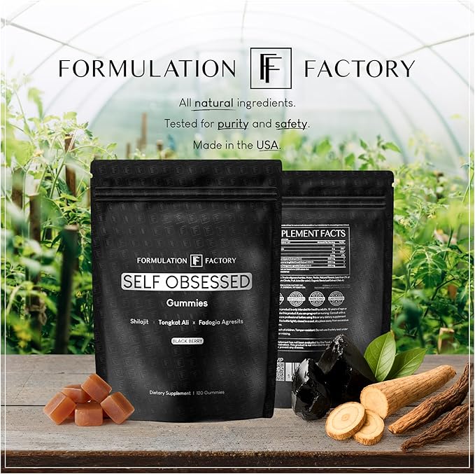 Self Obsessed Shilajit Gummies for Men, Tongkat Ali + Fadogia Agrestis Supplement, Energy, Strength, Drive & Vitality Support, Natural Masculinity Formula (1 Month Supply – 240 Count, Pack of 2)