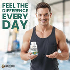 Organic Joint & Gut Harmony – Turmeric Curcumin, Boswellia, Type II Collagen, Tart Cherry, Ginger, Moringa, Probiotics – Joint Comfort, Mobility, Flexibility, Gut Balance, Digestive Support – 2000mg