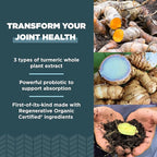Ancient Nutrition Regenerative Organic Certified Turmeric Capsules, Once Daily, Use as a Joint Supplement and Supports Inflammation, Gluten Free, Paleo and Keto Friendly, 90 Count