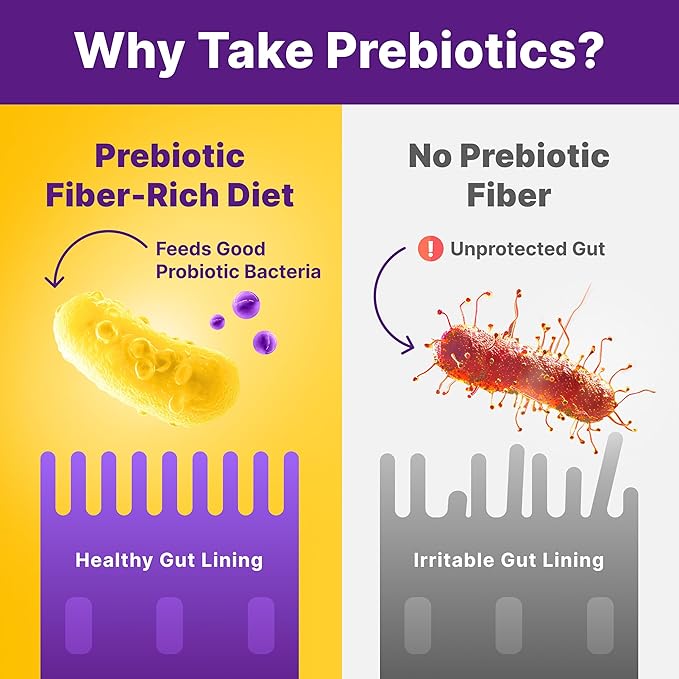 InnovixLabs Prebiotic Fiber Powder for Gut & Digestive Health, High Fiber Supplement for Women and Men with Chicory Root, FOS, Acacia, Inulin, Soluble & Insoluble Fiber, No Added Sugar, 30-Day Supply