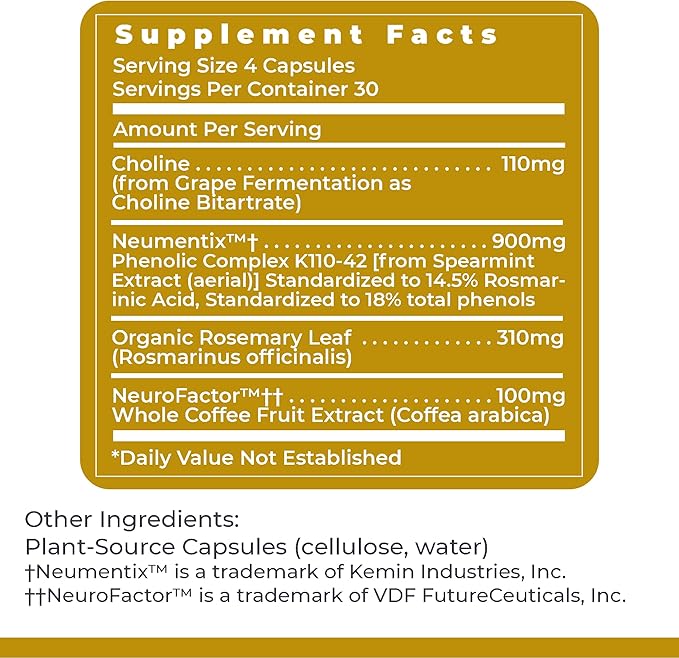 Premier Research Labs Cognitropic - Brain Supplements for Memory and Focus, Focus Supplement, Brain and Memory Power Boost, Clarity Vitamins for Brain, Memory Support - 120 Vegetarian Capsules