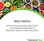 NaturesPlus Herbal Actives Milk Thistle, Extended Release - 30 Tablets - Non-GMO, Vegetarian, Gluten Free - 30 Servings